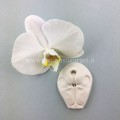 veiner silicone rubber central orchid