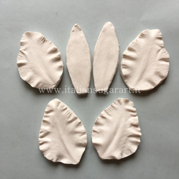 Silicone finders unobtainable for Cattleya Orchid Set