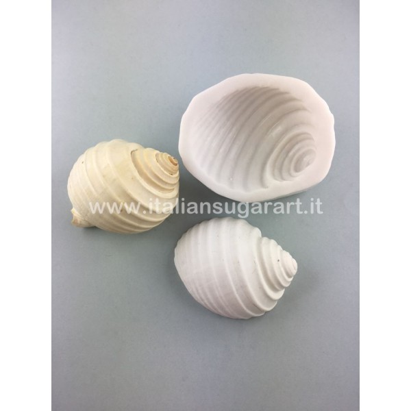 large shell mold