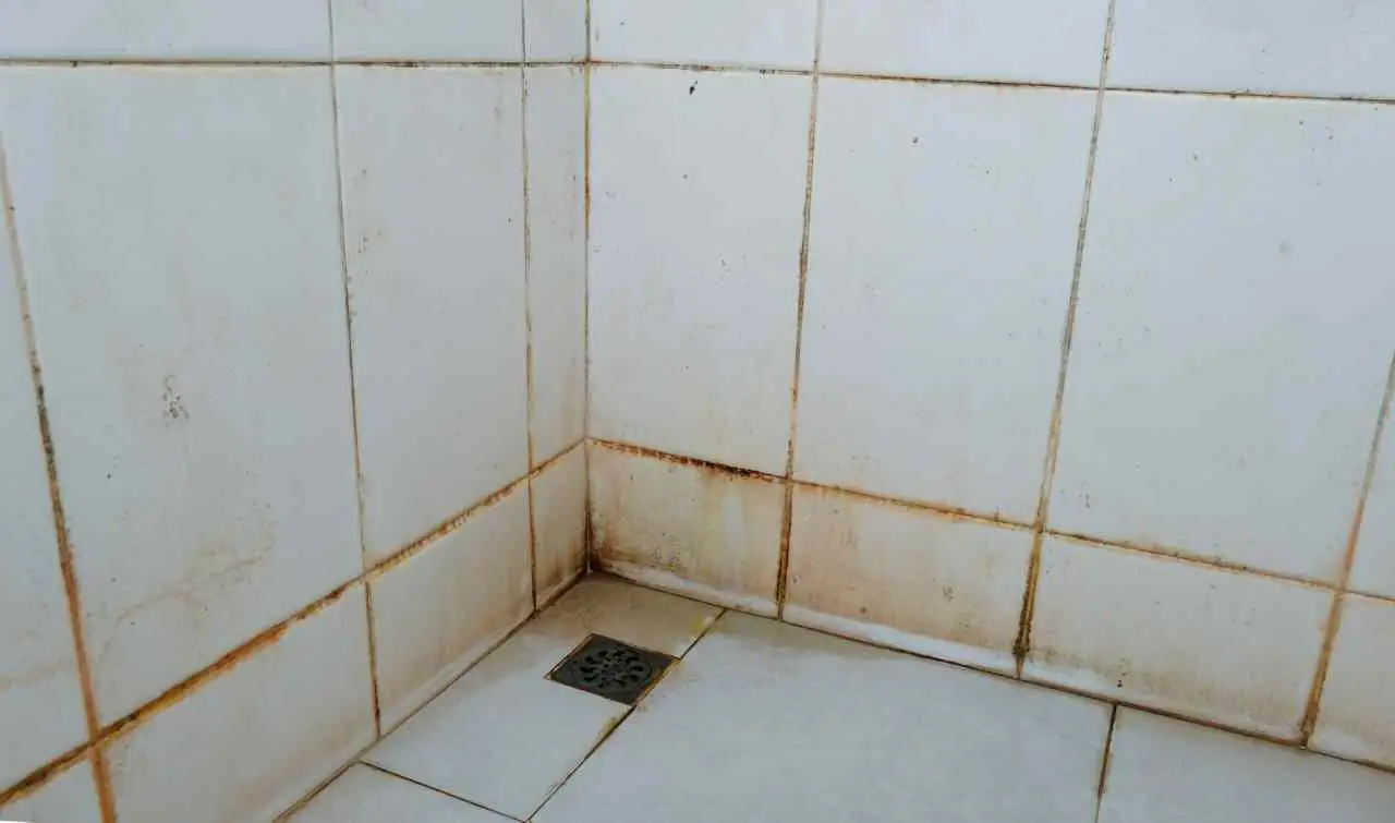 Immagine selezionata