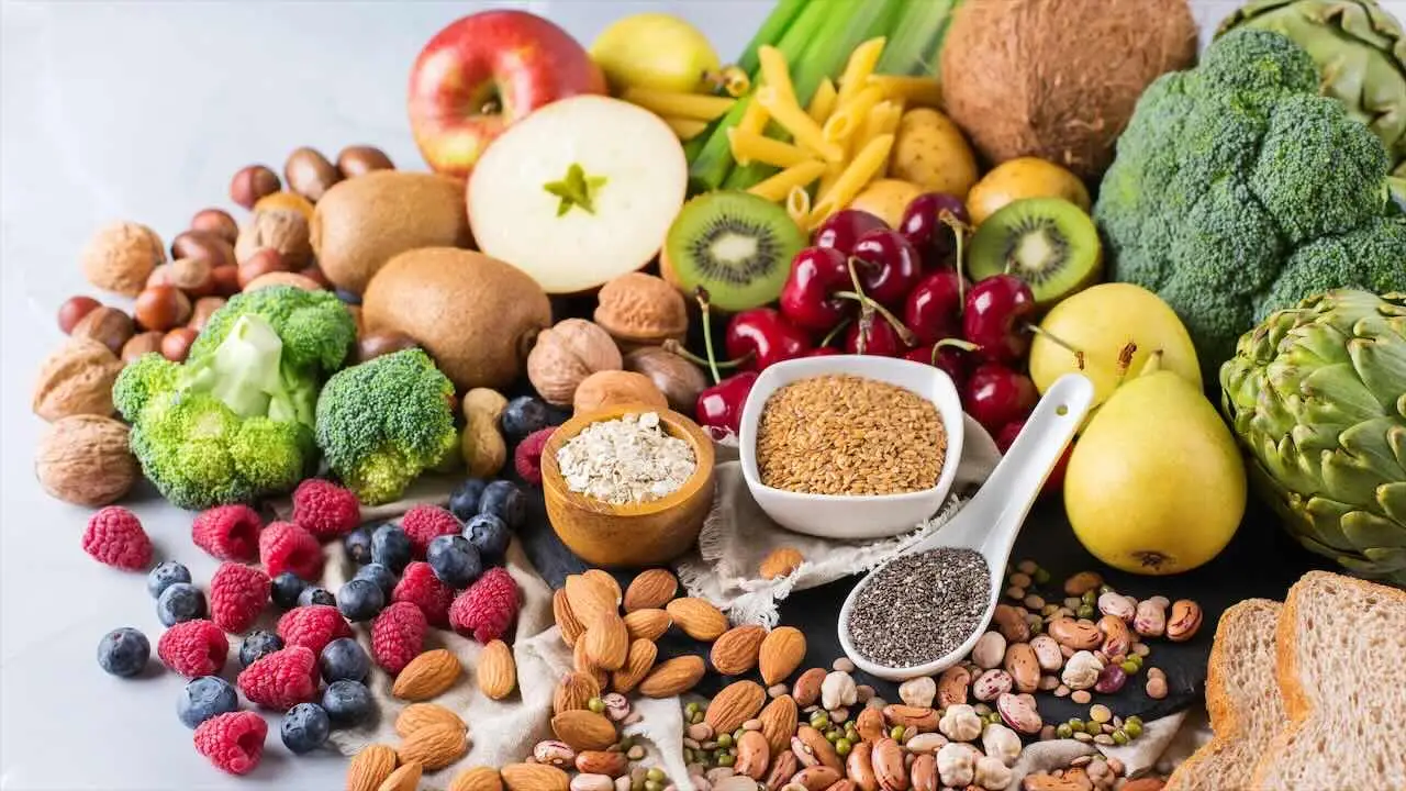 SC - Fibre vegetali e intestino stilizzato